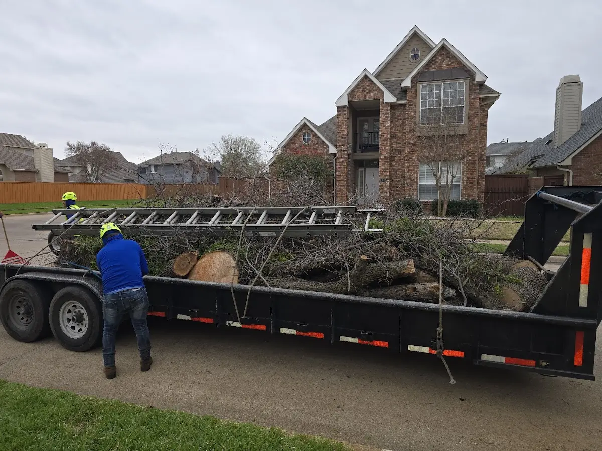 Expert Lot Clearing with proper safety equipment in Clyde